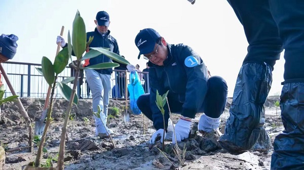 日邮物流携手乐扬公益开展红树种植行火狐电竞动守护生态推进儿童正向发展(图3)