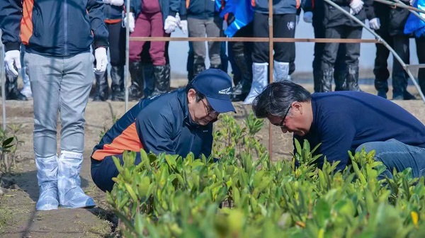 日邮物流携手乐扬公益开展红树种植行火狐电竞动守护生态推进儿童正向发展(图4)