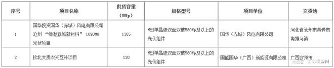 火狐电竞国家能源集团165GW N型组件集采招标！(图1)